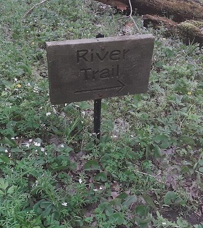 Dowagiac Woods - Dowagiac,