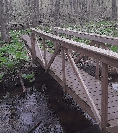 Dowagiac Woods - Dowagiac,