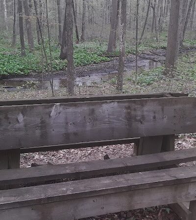 Dowagiac Woods - Dowagiac,