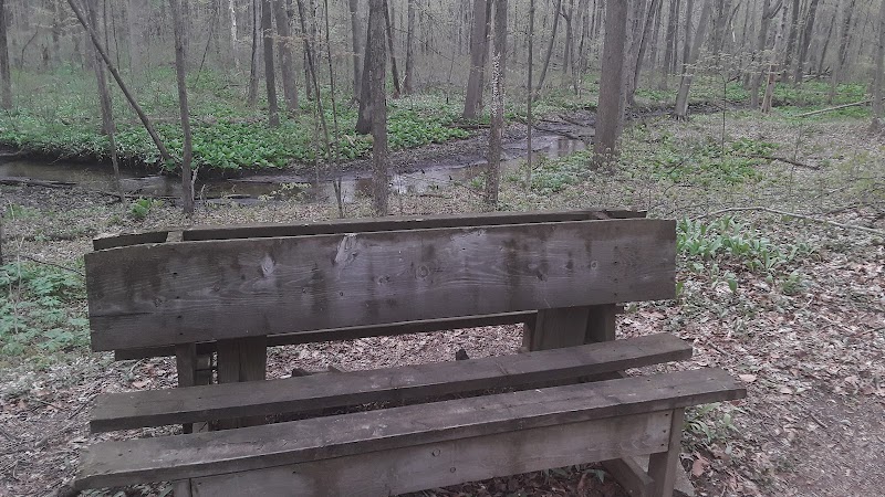 Dowagiac Woods - Dowagiac,
