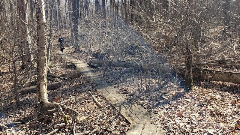 Dowagiac Woods Nature Sanctuary - Dowagiac,