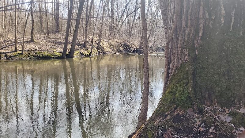 Dowagiac Woods Nature Sanctuary - Dowagiac,
