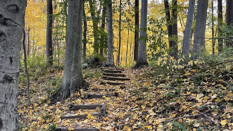 Dowagiac Woods Nature Sanctuary - Dowagiac,