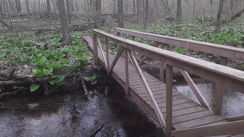 Dowagiac Woods - Dowagiac,