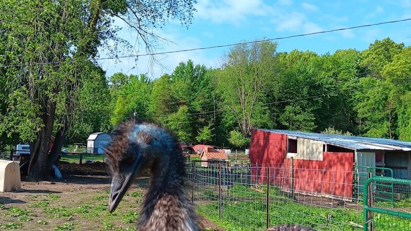Hidden Acres - Dowagiac,