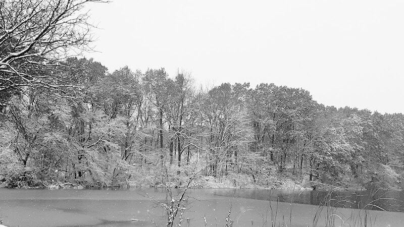 James Heddon Park - Dowagiac,