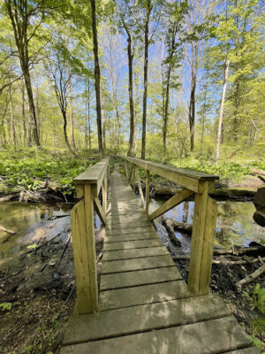 Dowagiac Woods Nature Sanctuary