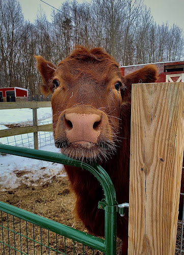 Hidden Acres - Dowagiac,