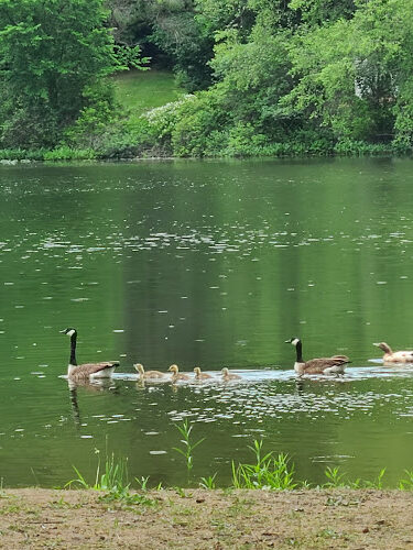 James Heddon Park