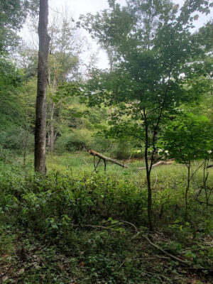Rudolphi Wildlife Refuge