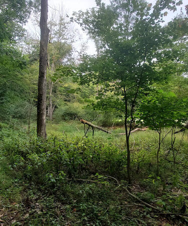 Rudolphi Wildlife Refuge