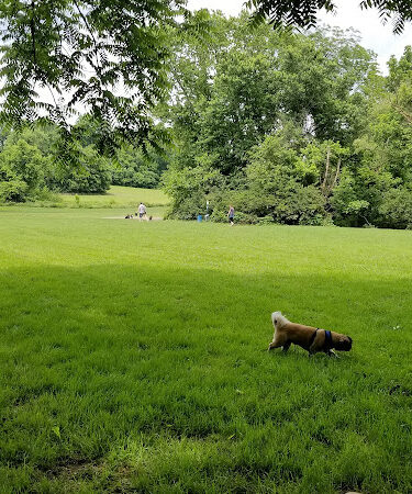 Lloyd Park