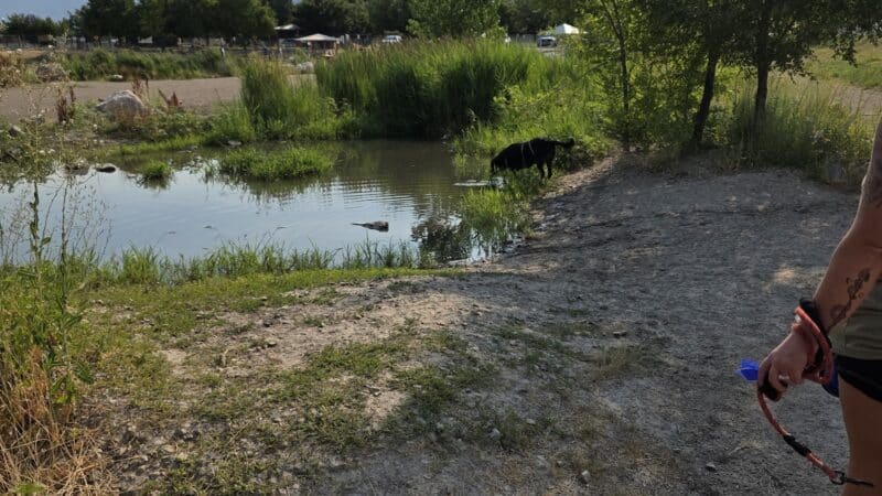 Draper Dayland Dog Park - Draper, UT