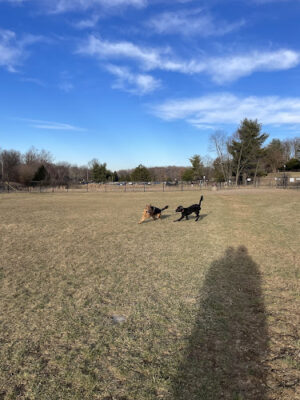 Twining Valley Dog Park