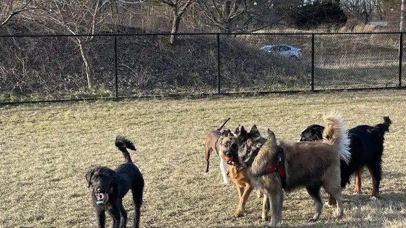 Twining Valley Dog Park - Dresher,