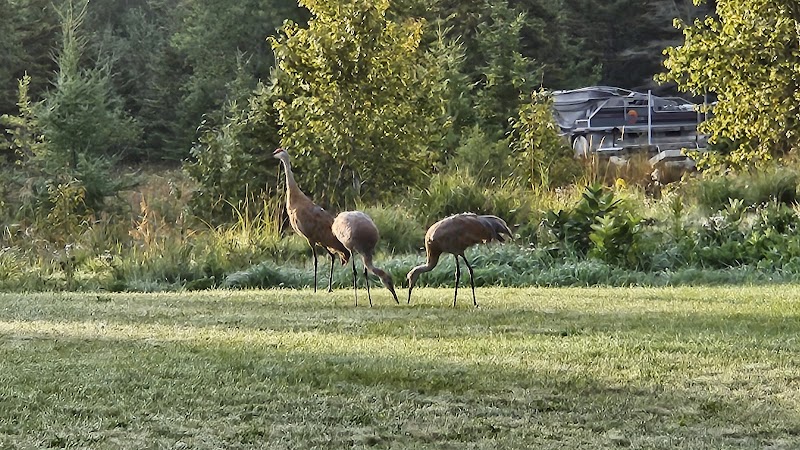 Drummond Island RV Park - Drummond,
