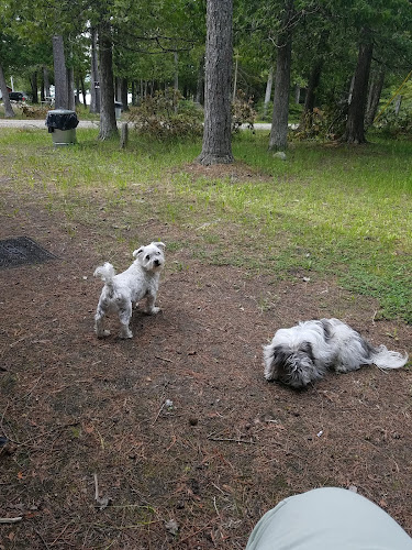 Township Park