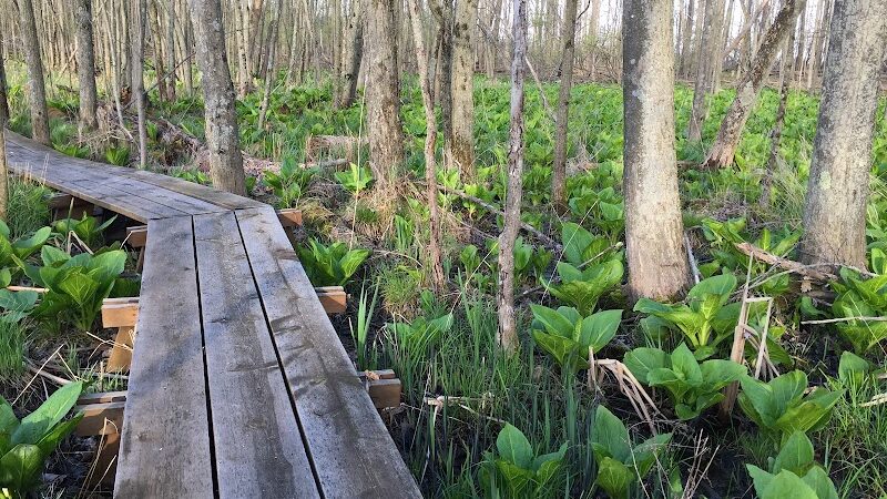 Seven Ponds Nature Center - Dryden,