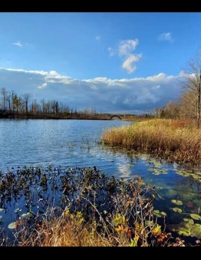 Seven Ponds Nature Center - Dryden,