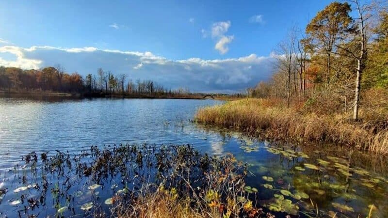 Seven Ponds Nature Center - Dryden,