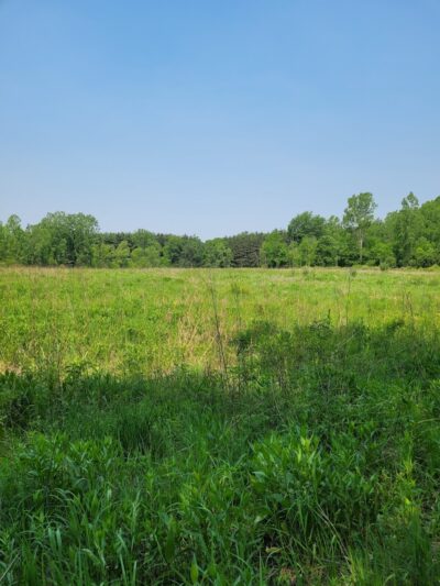 Seven Ponds Nature Center - Dryden,