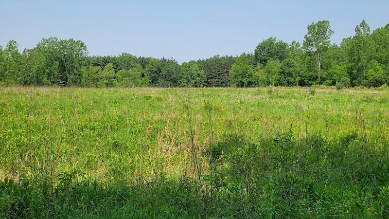 Seven Ponds Nature Center - Dryden,