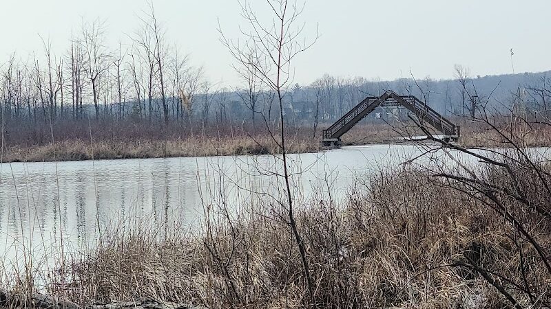 Seven Ponds Nature Center - Dryden,