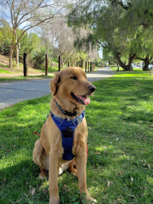 Duarte Recreational Trail