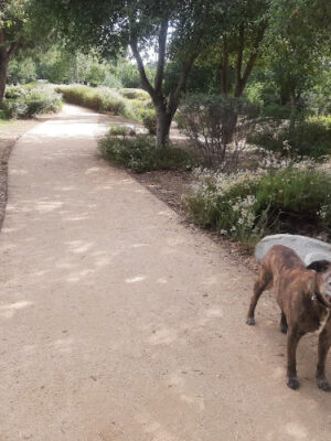 Encanto Park