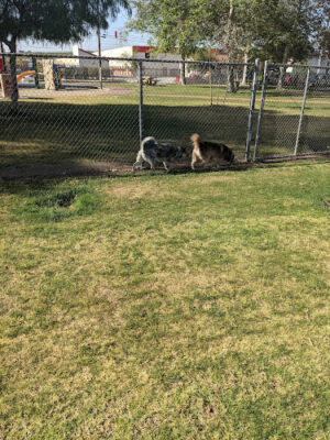Otis Gordon Sports Park