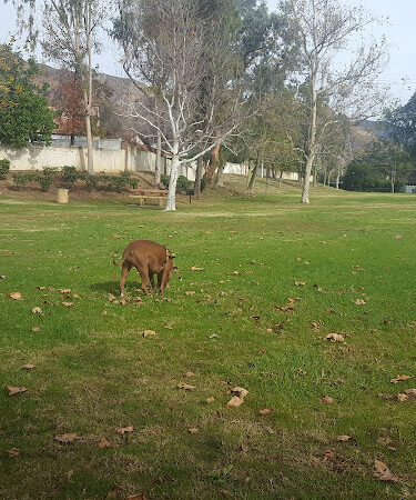 Royal Oaks Park