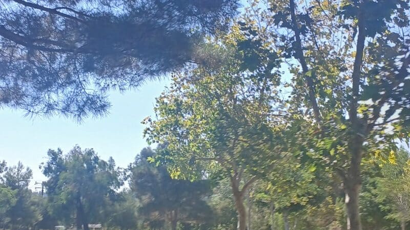 Encanto Park - Duarte, CA