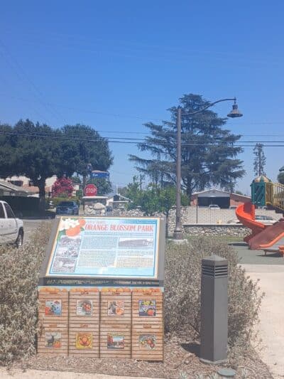 Orange Blossom Park - Duarte, CA