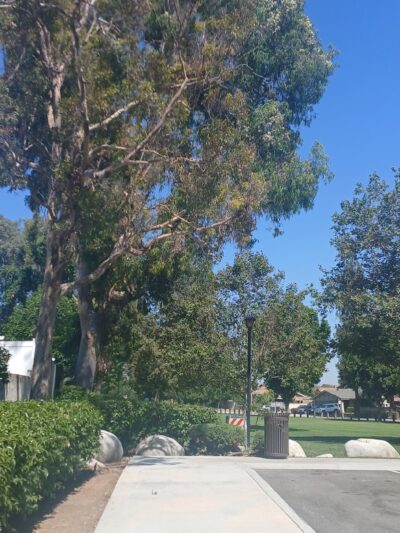 Royal Oaks Park - Duarte, CA