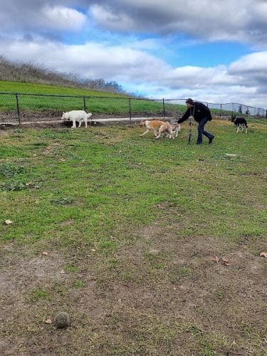 Dougherty Hills Dog Park