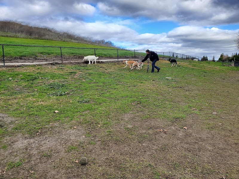 Dougherty Hills Dog Park - Dublin, CA