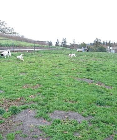 Dougherty Hills Dog Park