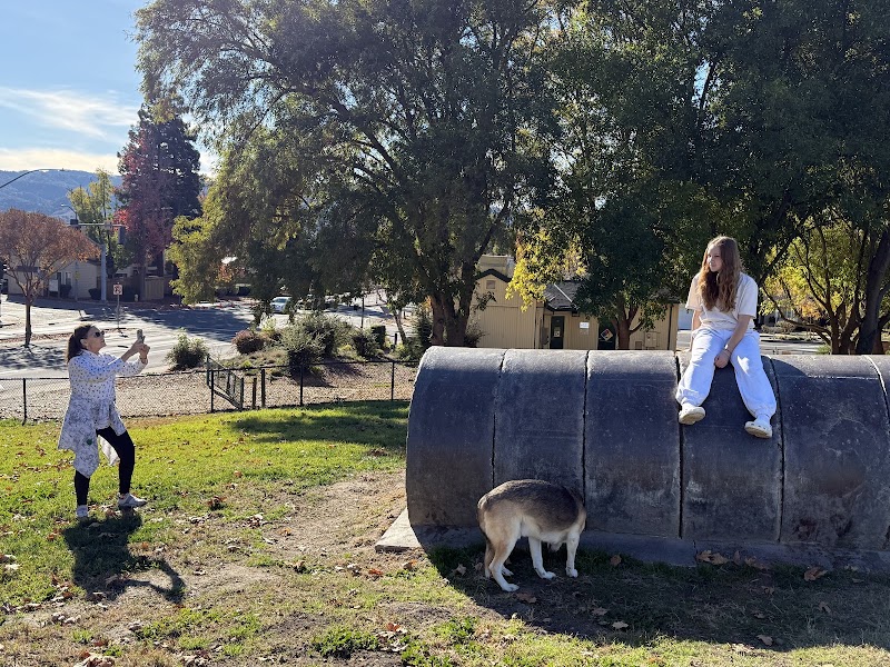 Dougherty Hills Dog Park - Dublin, CA