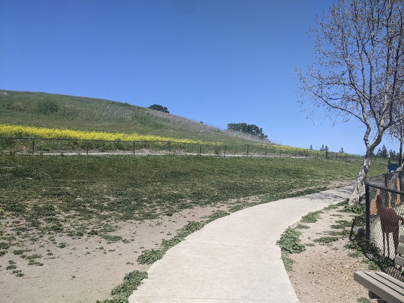 Dougherty Hills Dog Park - Dublin, CA