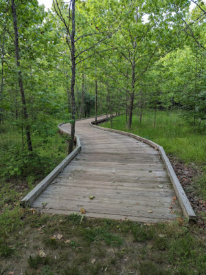 Kincora Heron Nature Trail