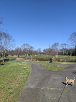 Chattapoochee Dog Park