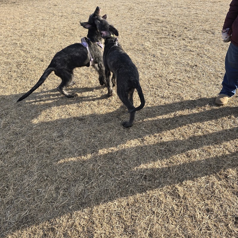Dundas Dog Park - Dundas, MN