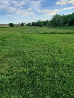 Dundas Dog Park