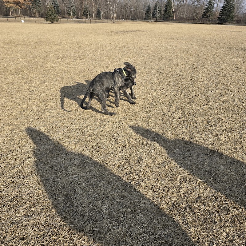 Dundas Dog Park - Dundas, MN