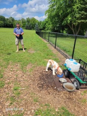 Dundas Dog Park
