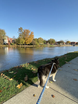 Wolverine Park