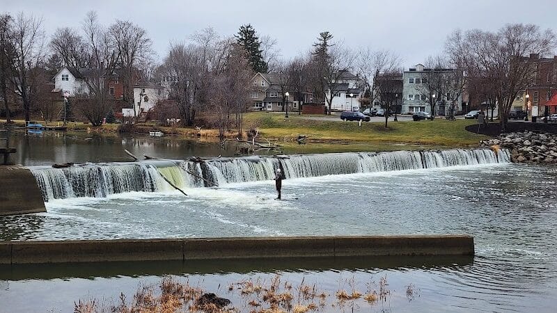 Wolverine Park - Dundee,