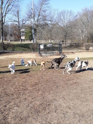 Dunkirk District Park