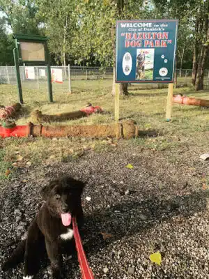 Hazelton Dog Park - Dunkirk, NY