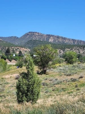Durango Off Leash Dog Park - Durango, CO